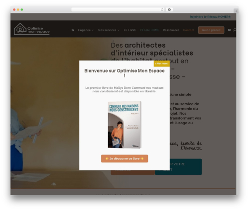 Divi WordPress theme - optimisemonespace.com