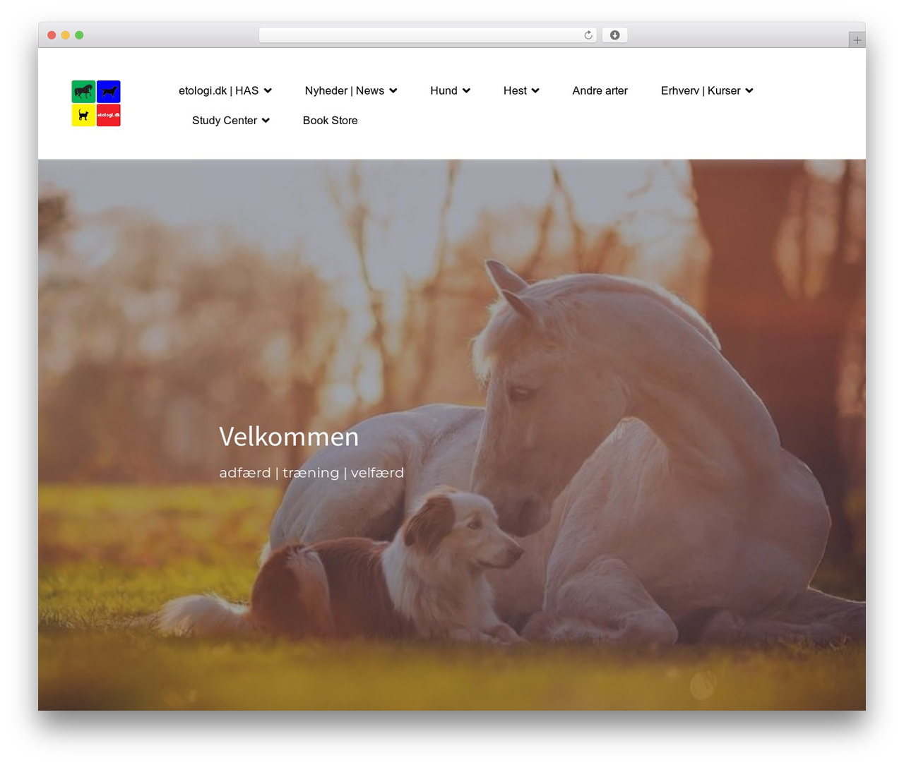 Hello Elementor WordPress theme - etologi.dk Hello Elementor WordPress theme - etologi.dk