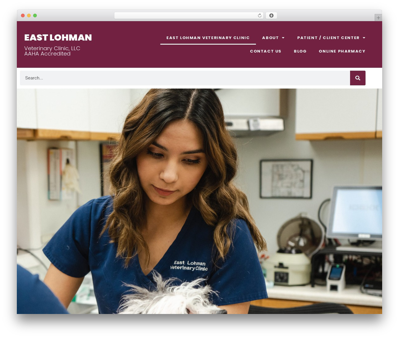 Shuttle theme WordPress - eastlohmanveterinaryclinic.com Shuttle theme WordPress - eastlohmanveterinaryclinic.com
