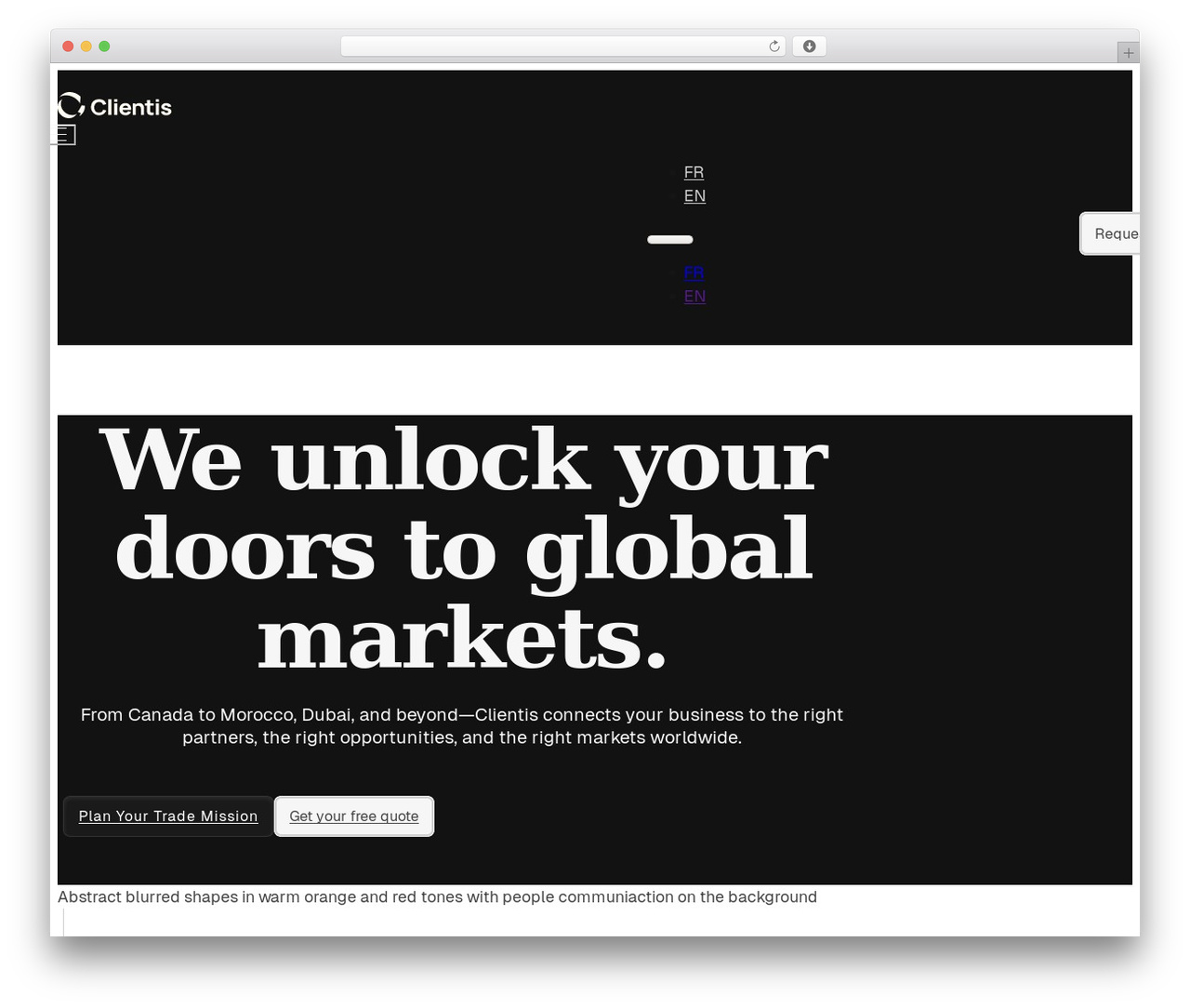 Bricks WordPress theme - clientis.ca