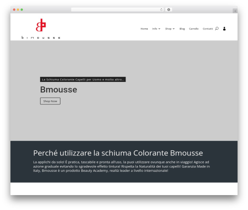 Divi WordPress theme design - bmousse.com