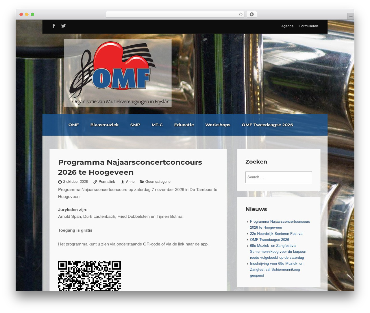 Flycase theme WordPress - omfryslan.nl