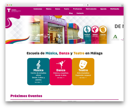 Proelements 4.2.3 WordPress plugin - triarte.net