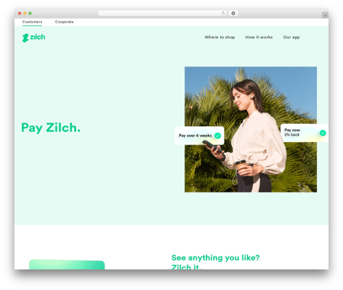 Wp hummingbird WordPress plugin - zilch.com