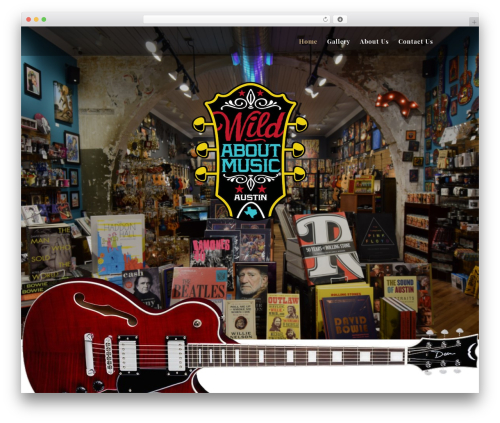 Divi top WordPress theme - wildaboutmusic.com