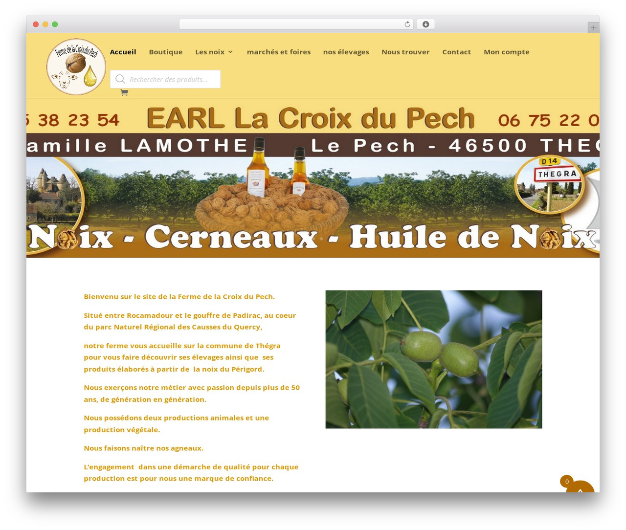 Divi WordPress theme - fermelacroixdupech.fr Divi WordPress theme - fermelacroixdupech.fr