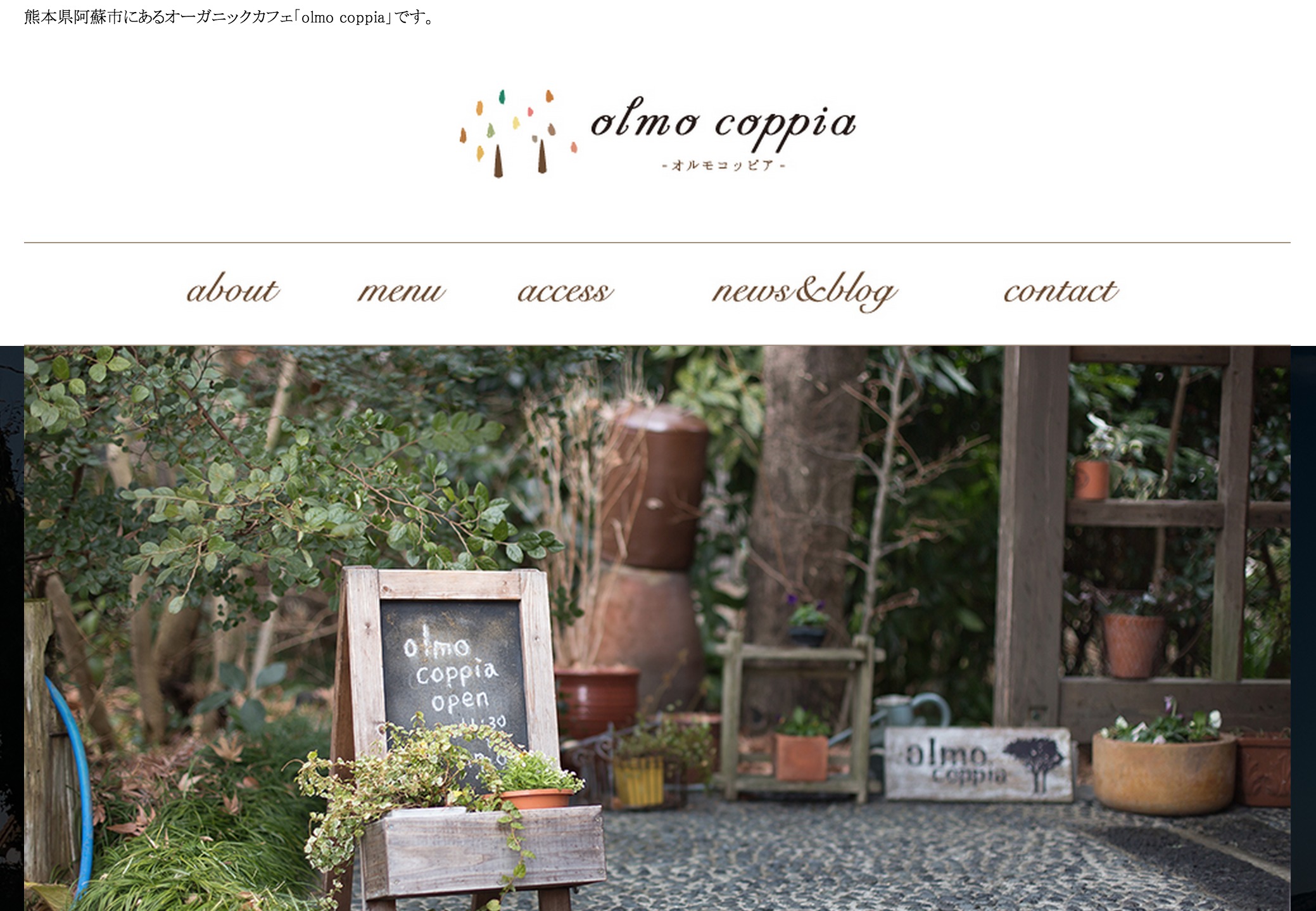 olmo WordPress theme by Jthemes