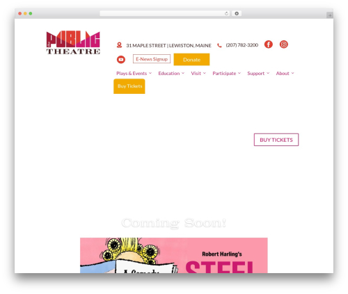 Mhmm WordPress plugin - thepublictheatre.org
