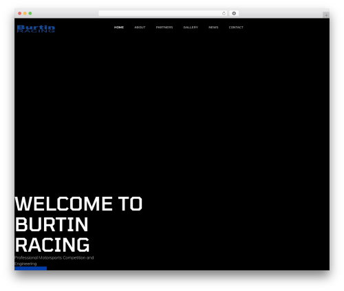 Telephone field for elementor forms WordPress plugin - burtinracing.com