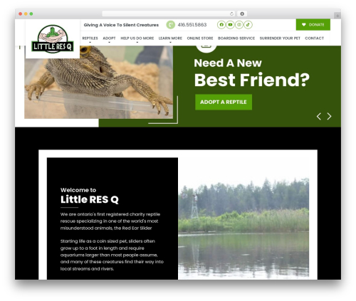 Best WordPress theme Buzz To The Rescues - littleresq.net