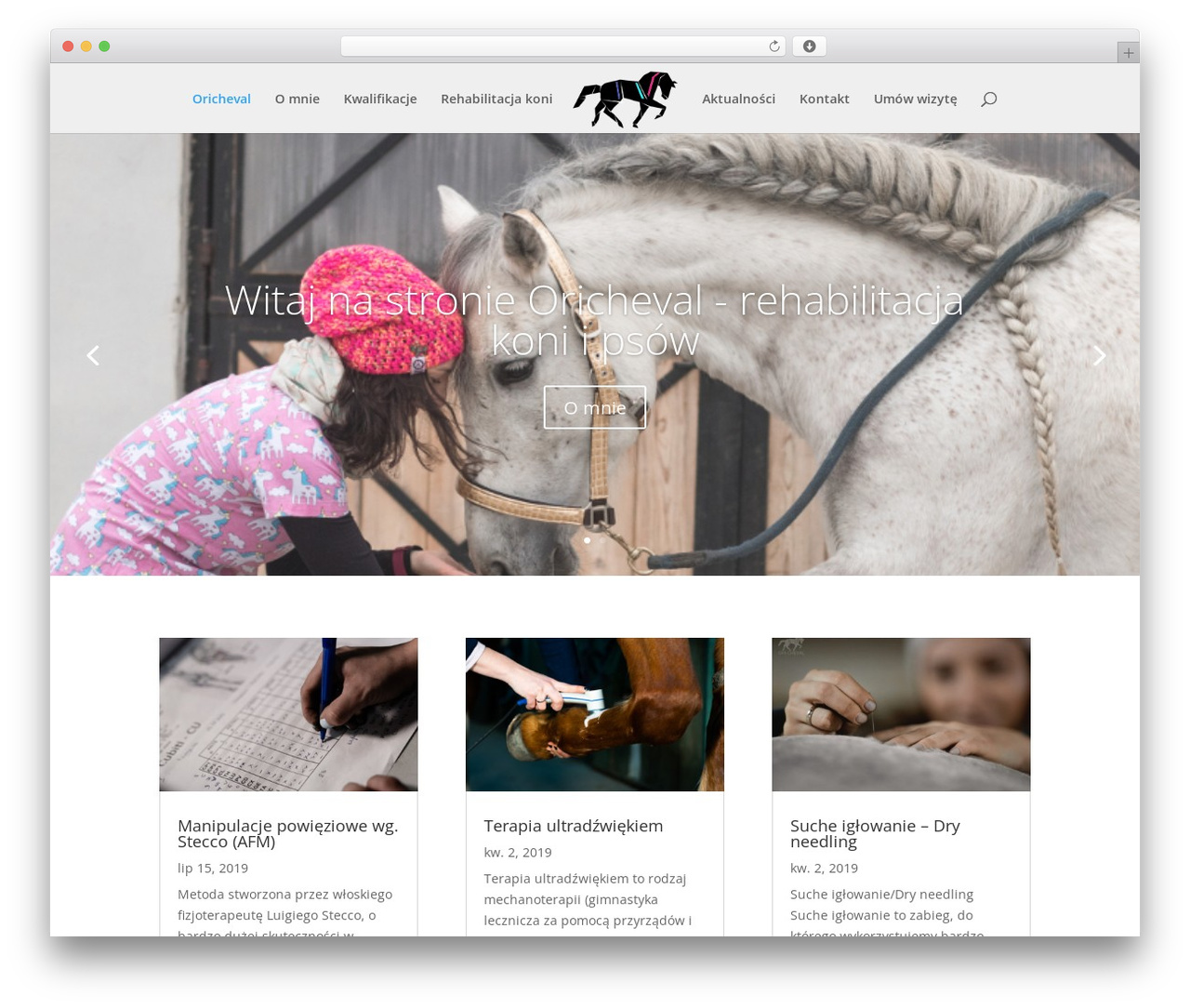 Divi top WordPress theme - oricheval.pl