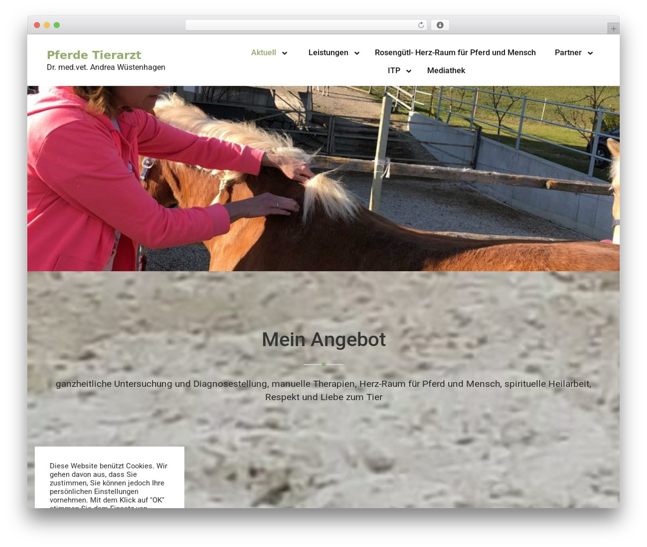 MediHealth free WP theme - pferde-tierarzt.at