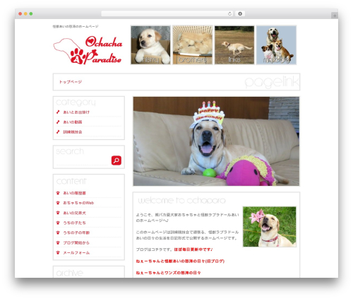 Scroll to Top (scroll-to-top) free WordPress plugin - ochacha.com