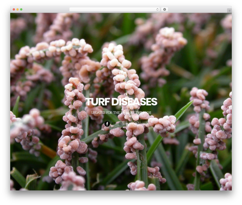 Themify Popup (themify-popup) free WordPress plugin - turfdiseases.org