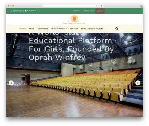 Elementor pro 1 WordPress plugin - owlag.co.za