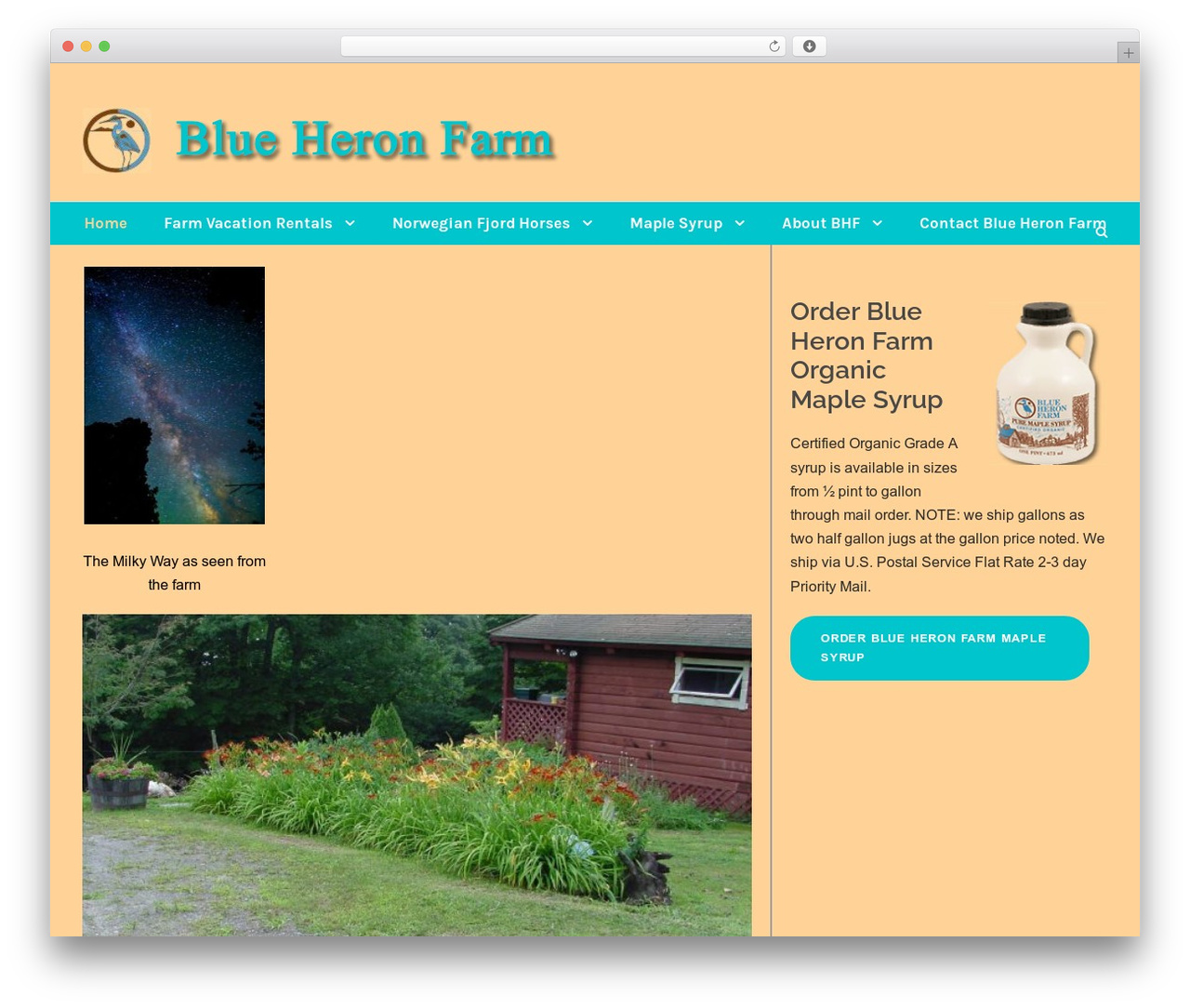 WordPress theme Infinite - blueheronfarm.com WordPress theme Infinite - blueheronfarm.com