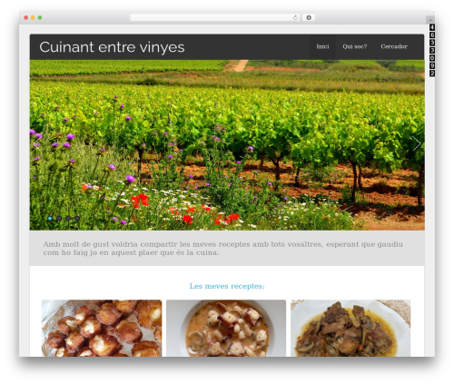 WordPress website theme Asteria Lite - cuinantentrevinyes.cat