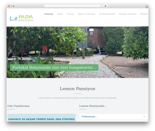 Dzen WP theme - olymposlemon.com