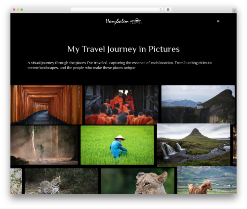 Framed WordPress theme image - hanysalem.com