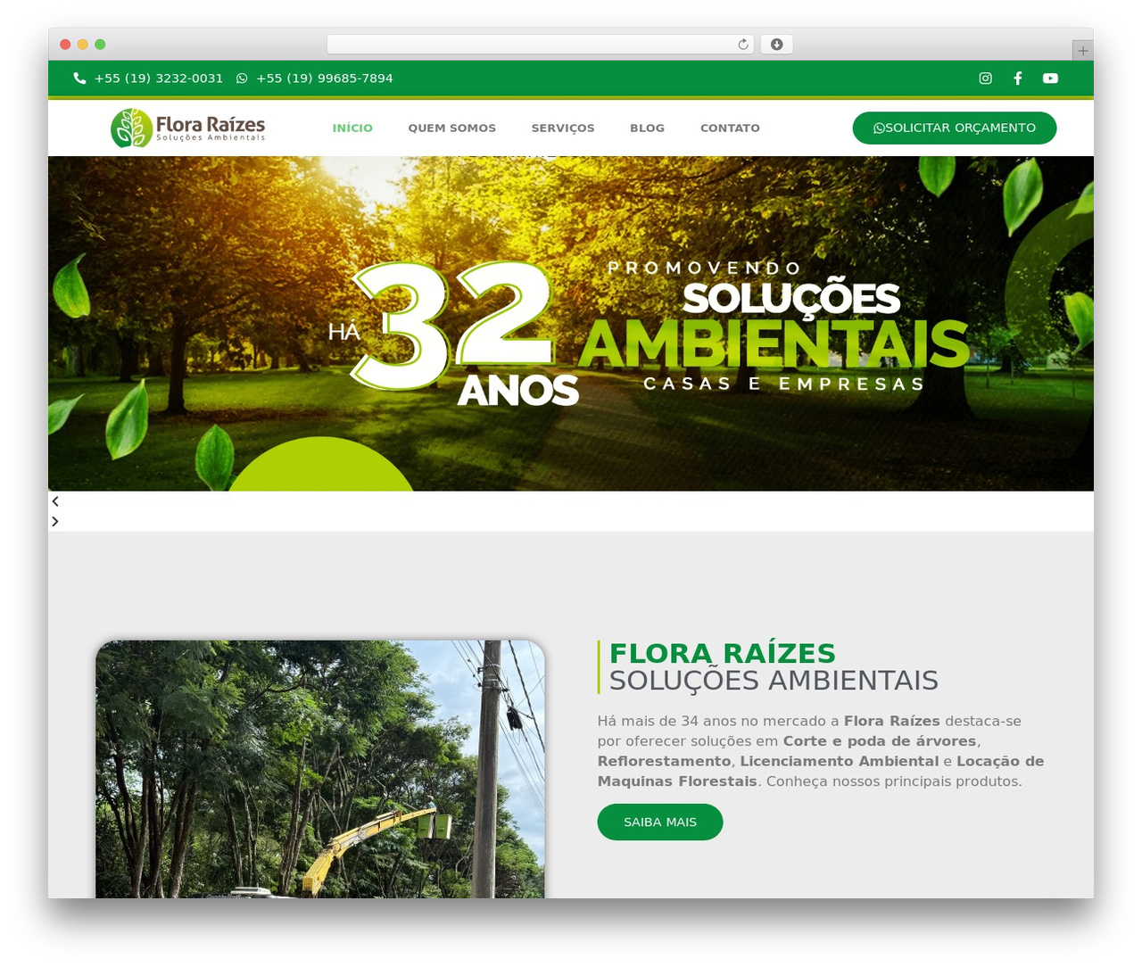 Hello Elementor WordPress theme - floraraizes.com.br Hello Elementor WordPress theme - floraraizes.com.br