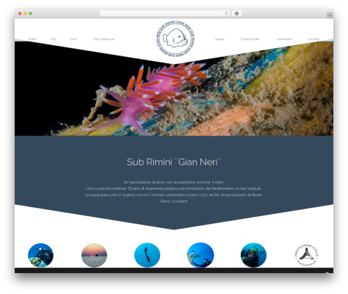 Cleanco_vc_addon WordPress plugin - subriminigianneri.it