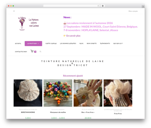 Linguise – Automatic multilingual translation (linguise) free WordPress plugin - bycekaelle.com