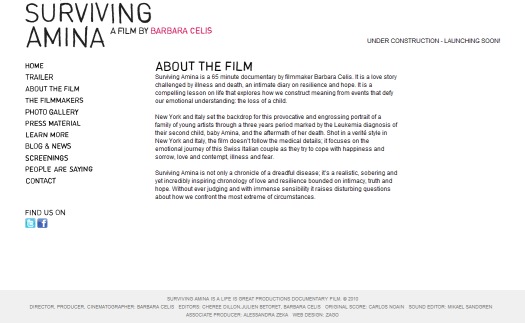 WordPress theme Surviving Amina by Scott Poulin