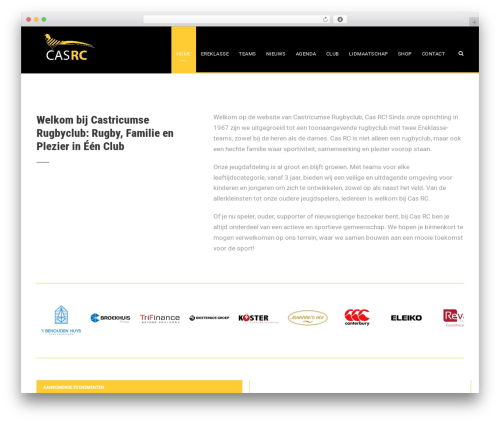 WP theme BigSlam - casrc.nl