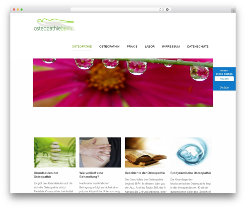 Axioma WordPress theme - osteopathieberlin.de