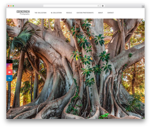 Content Copy Protection & Disable Right Click (content-copy-protection-disable-right-click) free WordPress plugin - odekerkenphotography.com