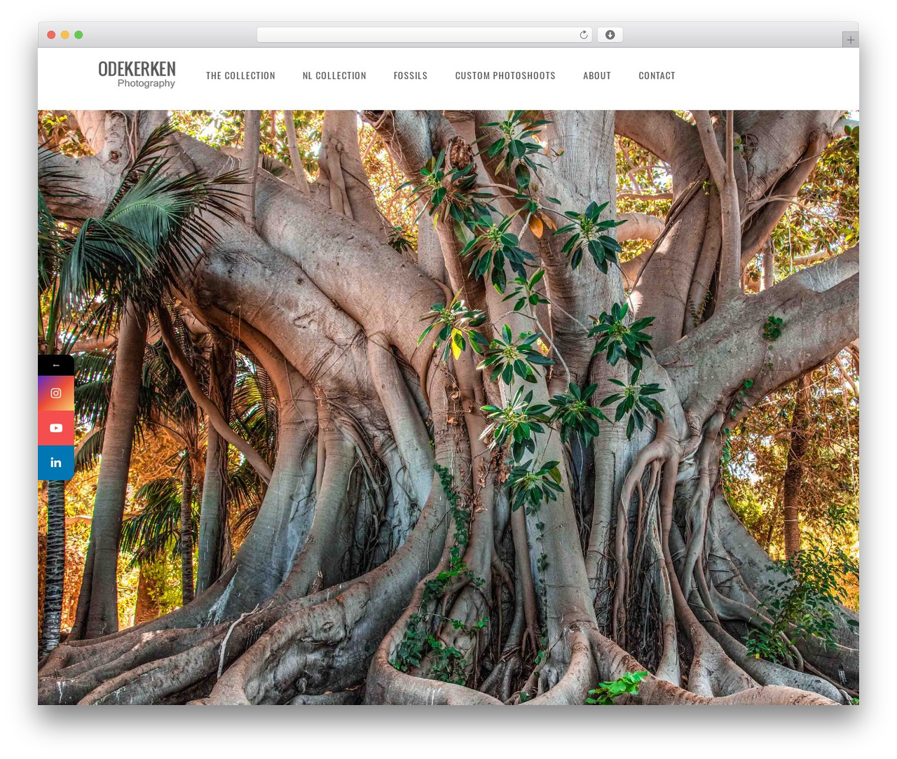 Core theme WordPress - odekerkenphotography.com Core theme WordPress - odekerkenphotography.com