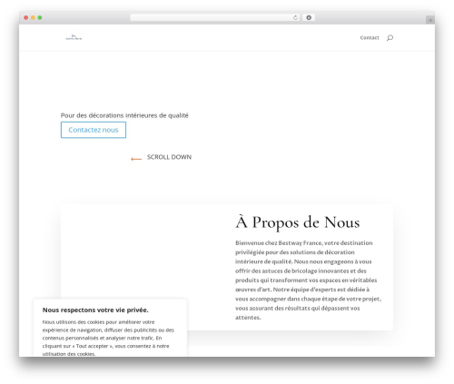 Divi contact form zero spam WordPress plugin - bestway-france.fr