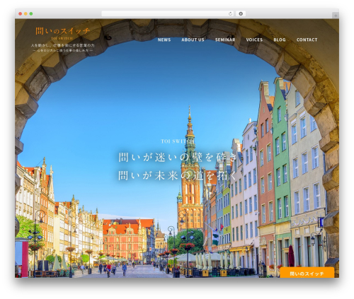 toiswitch WordPress theme - toi-switch.com