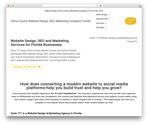 Web-App-Development WordPress theme - suite171.com