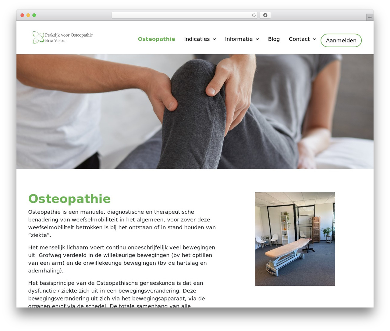 WordPress website theme Pixel Example Theme - osteopathie-visser.nl