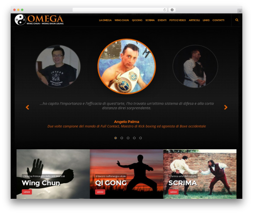 Social Proof (Testimonial) Slider (social-proof-testimonials-slider) free WordPress plugin - omegawingchun.it