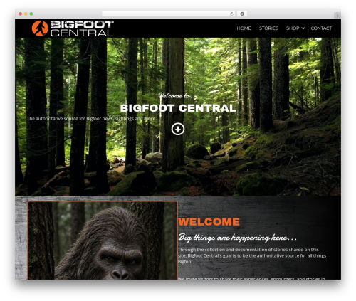 Addons for beaver builder premium WordPress plugin - bigfootcentral.com