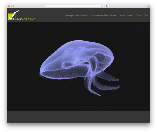 Mnky vector icons WordPress plugin - biomecreation.com