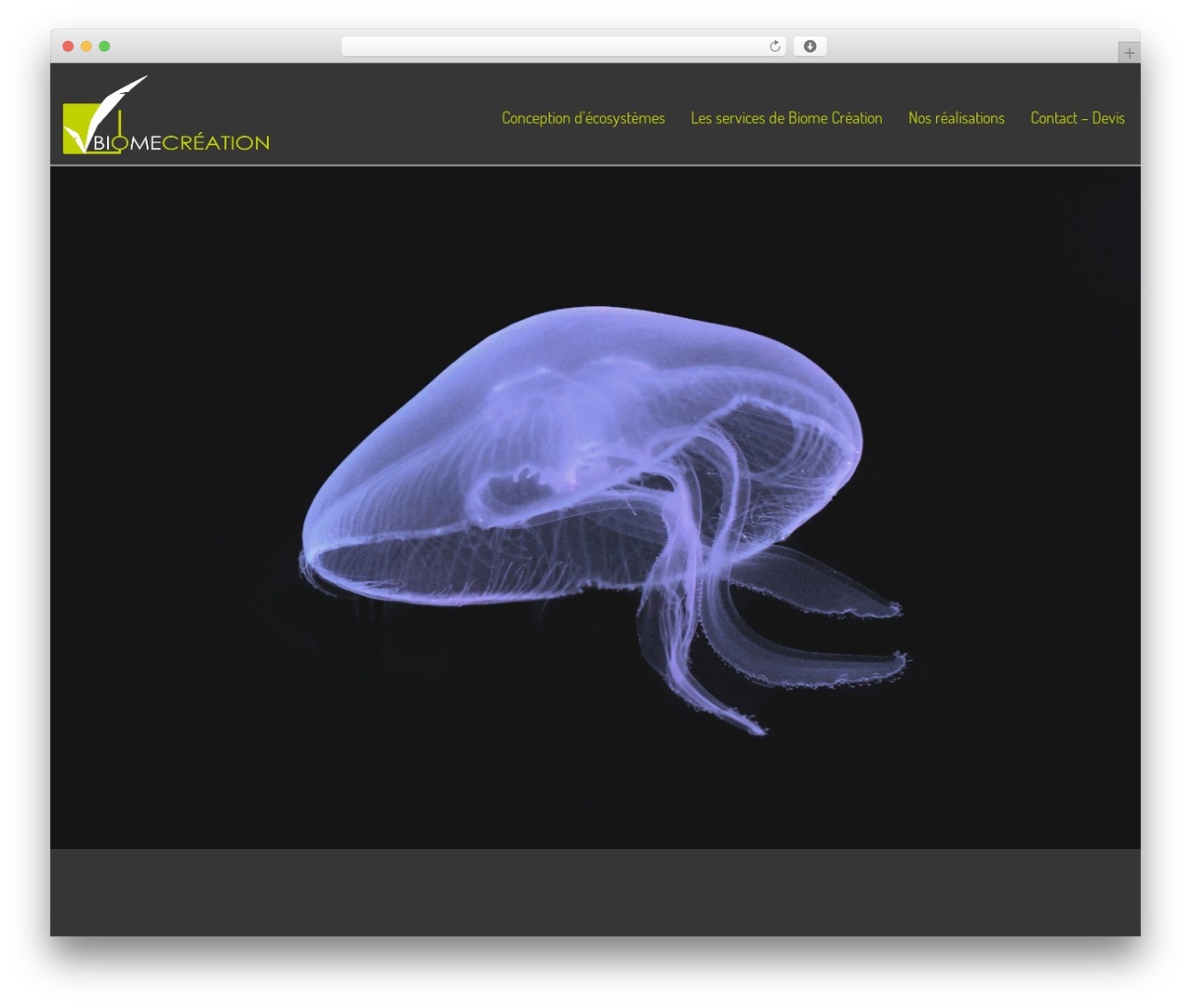 biome_press WordPress theme - biomecreation.com