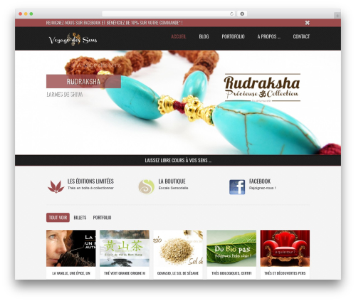 WordPress website theme Radial - voyagedessens.com