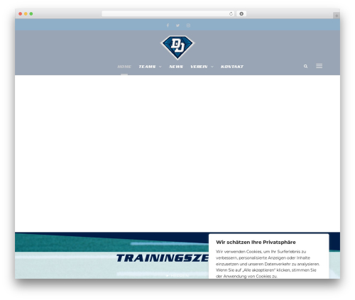 BigSlam best WordPress theme - www.darmstadt-diamonds.de