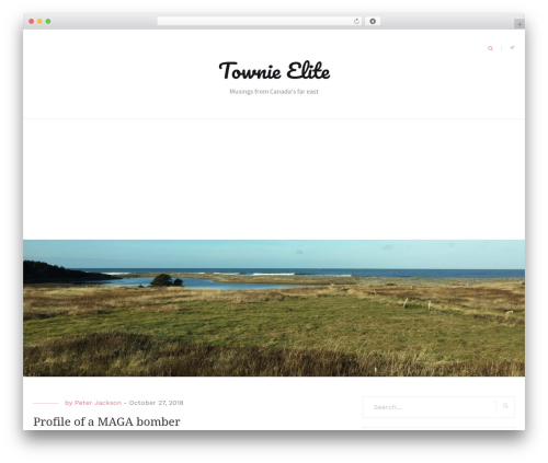 Blaskan theme WordPress - townieelite.com