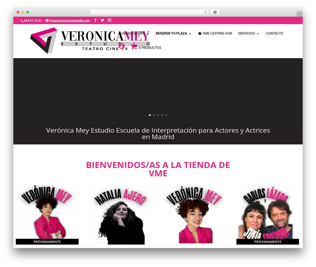 Divi theme WordPress - veronicameyestudio.com