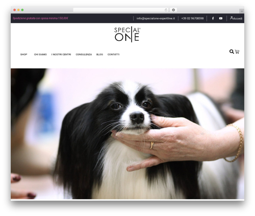 Yith store locator for wordpress WordPress plugin - www.specialoneitalia.it