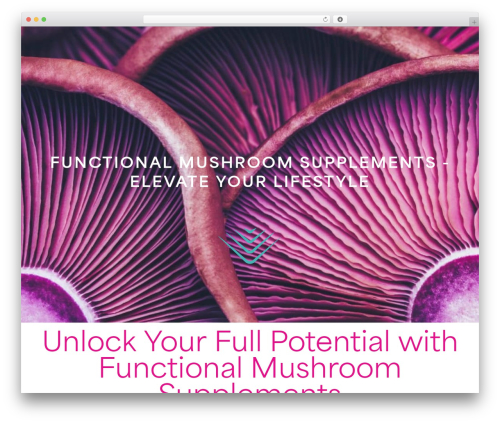 Easy optimizer WordPress plugin - mycofocus.life