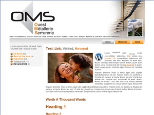 oms2 WordPress theme design
