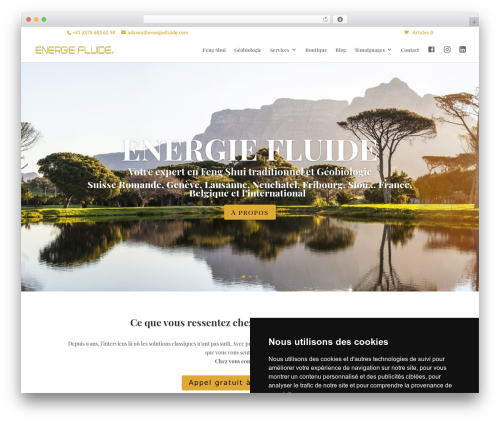 PayPal for Divi (angelleye-paypal-for-divi) free WordPress plugin - energiefluide.ch