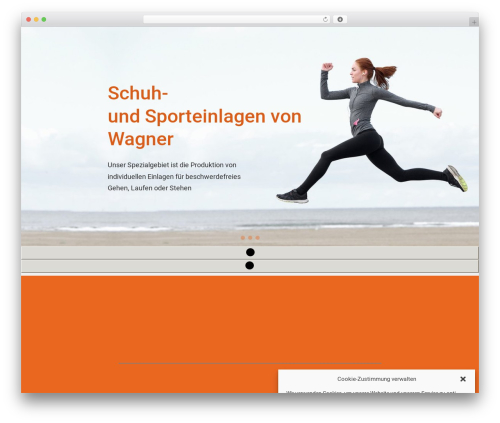 Constructor best WordPress theme - sport-einlagen.com