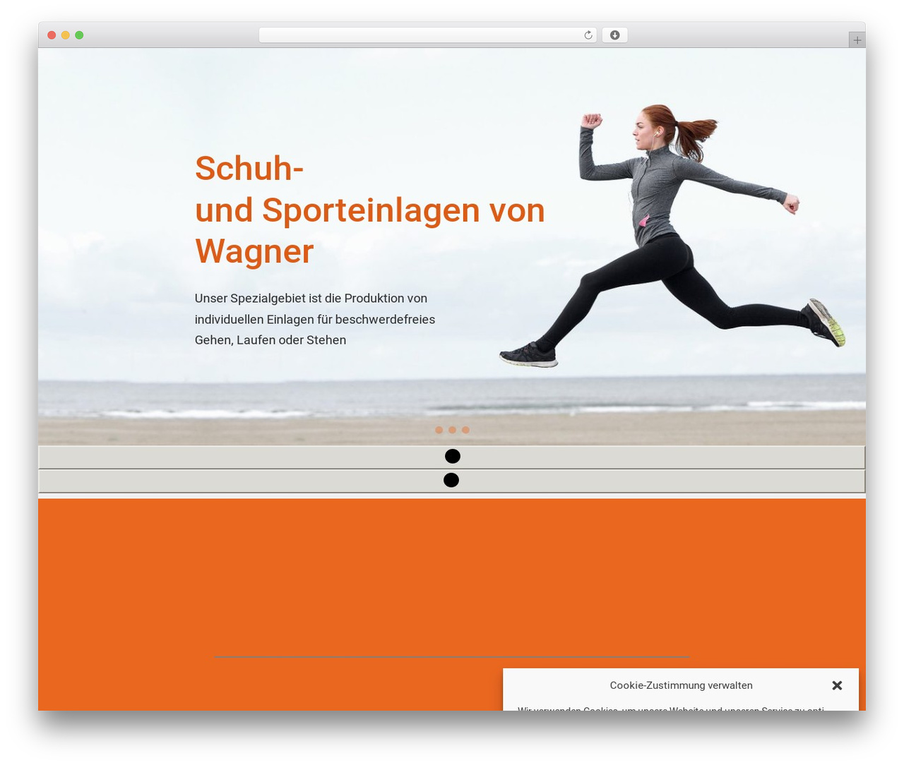 Constructor best WordPress theme - sport-einlagen.com