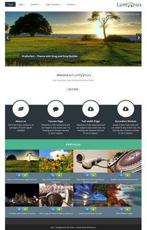 Luminus theme WordPress by Shaon